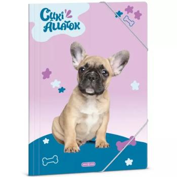 Ars Una: Cuki Állatok – Francia bulldog A/4 gumis dosszié kép