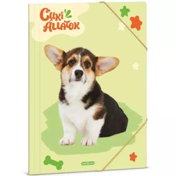 Ars Una: Cuki Állatok – Welsh Corgi A/4 gumis dosszié kép