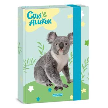 Ars Una: Cuki Koala A/5 füzetbox kép