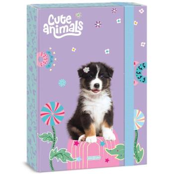 Ars Una: Cute animals - Aussie kutyás füzetbox A/4 kép