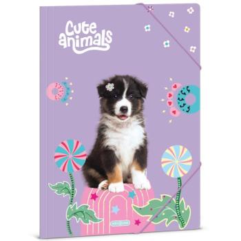 Ars Una: Cute animals - Aussie kutyás gumis dosszié A/4-es méret kép