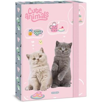Ars Una: Cute animals - tea party cicás füzetbox A/4 kép