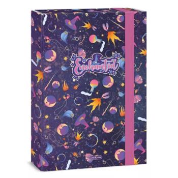 Ars Una: Enchanted A4 füzetbox kép