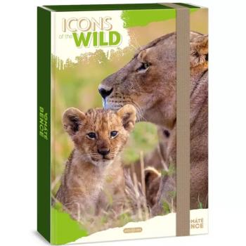 Ars Una: Icons of the Wild Lions A/4 füzetbox kép