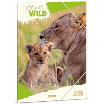 Ars Una: Máté Bence Icons of the Wild-Lions A/4 gumis dosszié kép
