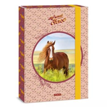 Ars Una: My Sweet Horse Lovas A4 füzetbox kép