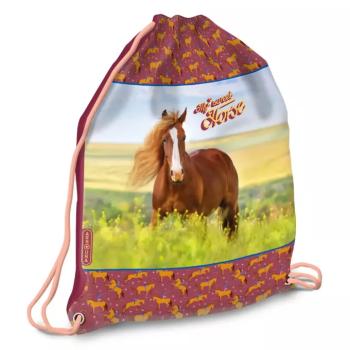 Ars Una: My Sweet Horse tornazsák, sportzsák 32x42cm kép