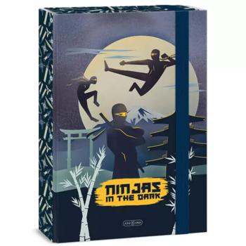 Ars Una Ninjas in the dark gumis füzetbox A/4 kép