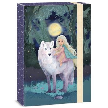 Ars Una: Northern Lights füzetbox A/4 kép