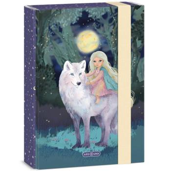 Ars Una: Northern Lights füzetbox A/5 kép