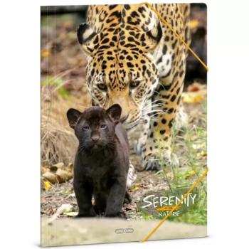 Ars Una: Serenity – Jaguár A/4 gumis dosszié