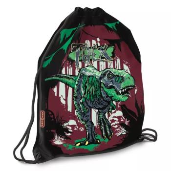 Ars Una: T-Rex tornazsák, sportzsák 32x42cm kép