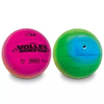 Bioball: Szivárvány színű röplabda 216mm 5-ös méret - Mondo toys kép