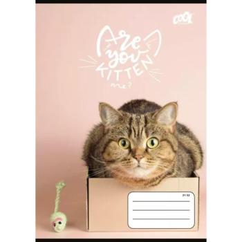 Cool by Victoria: Cats Forever vonalas füzet - A/5-ös, többféle