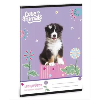 Cute Animals: Aussie leckefüzet - A/5-ös kép