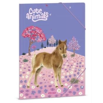 Cute Animals: Horse gumis mappa - A/4-es kép