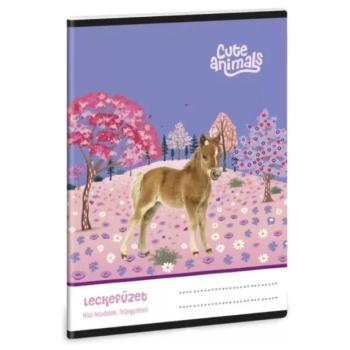 Cute Animals: Horse leckefüzet - A/5-ös kép