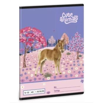 Cute Animals: Horse vonalas füzet - 1.osztályos, A/5-ös kép