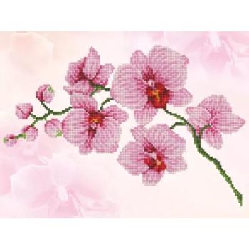 Diamond Dotz: Orchidea - 31 x 41 cm kép