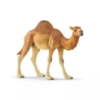 Dromedár - Schleich 14832 kép