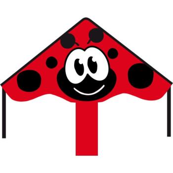 Eco Line Simple Flyer Ladybug sárkány kép