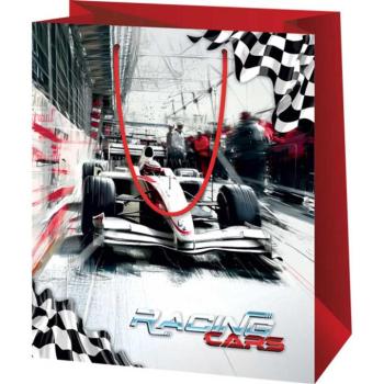 Formula-1 mintás közepes méretű ajándéktáska 18x23x10cm kép