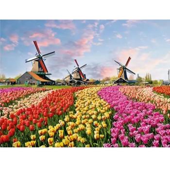 Gyémántszemes kirakó: Holland tulipánmező gyémántfestő szett 30x40cm kép