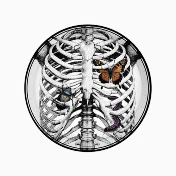 Halloween papírtányérok – Csontváz és rovarok 23 cm, 6 db kép