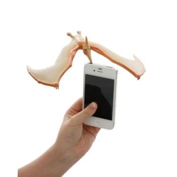Hihetetlen Pteranodon Egyensúlyozó Dinoszaurusz kép