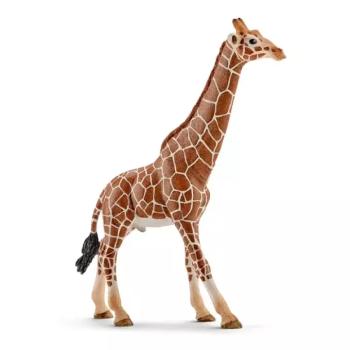 Hím zsiráf - Schleich 14749 kép