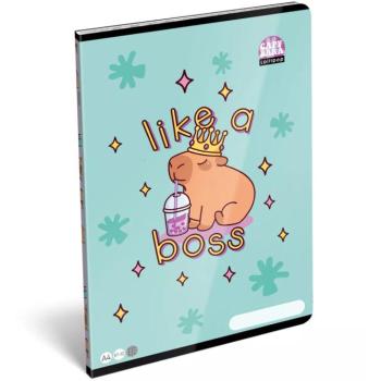 ICO: LizzySuli Lollipop Capybara mintás kockás füzet A/4 27-32 kép