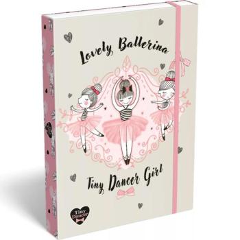 ICO: Lizzysuli Tiny Dancer Ballerina gumis füzetbox A/4 kép