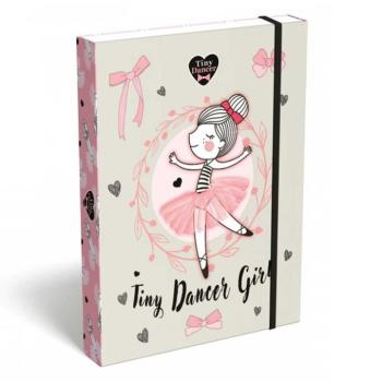 ICO: Lizzysuli Tiny Dancer Lovely Ballerina mintás füzetbox A/5 kép