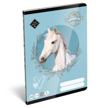 ICO: Lizzysuli Wild Beauty Sport Club 2. osztályos vonalas füzet kép