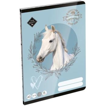 ICO: LizzySuli Wild Beauty Sport Club 3. osztályos vonalas füzet A/5 12-32 kép