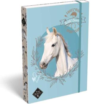ICO: Lizzysuli Wild Beauty Sport Club mintás füzetbox A/4 kép