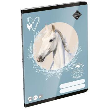 ICO: LizzySuli Wild Beauty Sport Club sima füzet A/5 20-32 kép