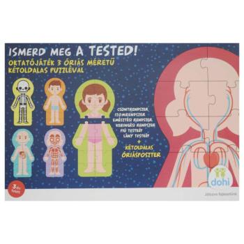 Ismerd meg a tested oktatójáték - D-Toys kép