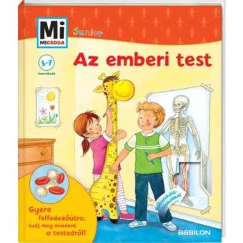 Junior Az emberi test kép