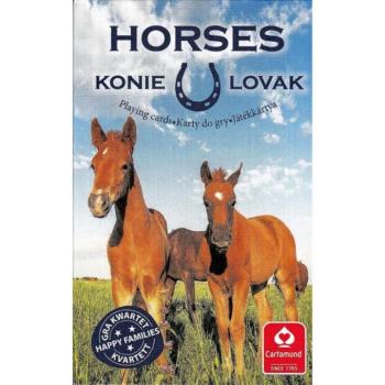 Kedvenceink a lovak 4 az 1-ben kártya (Cartaco) kép