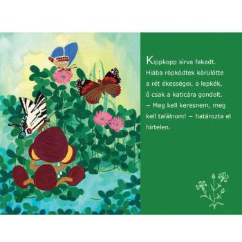 Kipkopp a fűben diafilm kép