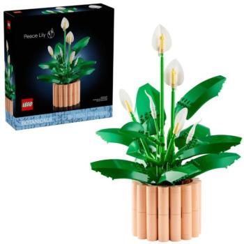 LEGO® Botanicals: Vitorlavirág (11504) kép