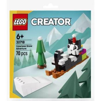 LEGO® Creator Cicuri kalandjai a hóban 30718 kép