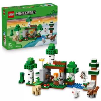 LEGO® Minecraft® Az első éjszaka kalandjai 21593 kép