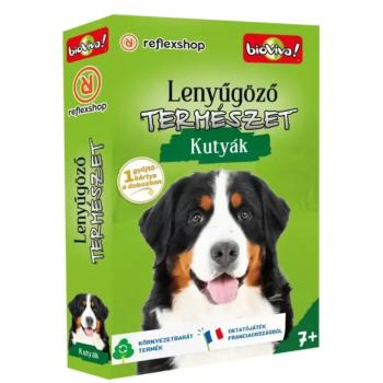 Lenyűgöző természet - Kutyák kártyajáték kép