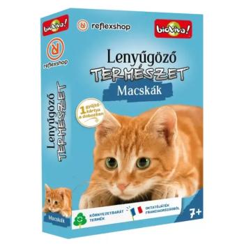 Lenyűgöző természet - Macskák kártyajáték kép
