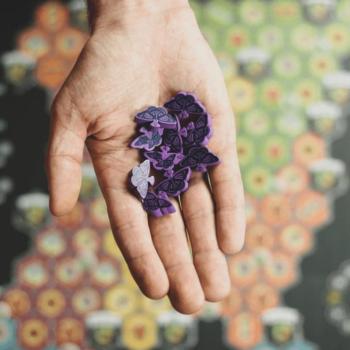 Lila pillangók promó a Mariposas társasjátékhoz kép