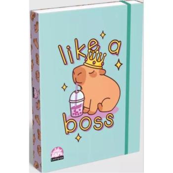 Lollipop Capybara: Füzetbox - A/4-es