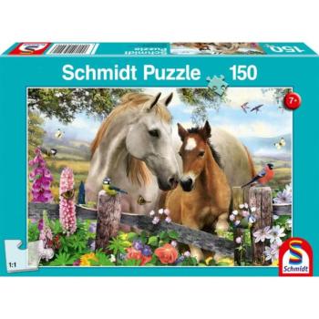 Mare and foal, 150 db (56421) Stute und Fohlen kép