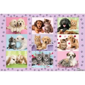 Meine Tierfreunde, 100 db (56268) My Animal Friends, 100 pcs kép